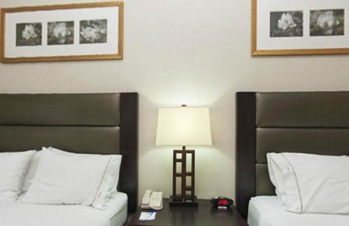 Holiday Inn Express Hotel & Suites Ottawa Airport By Ihg Δωμάτιο φωτογραφία